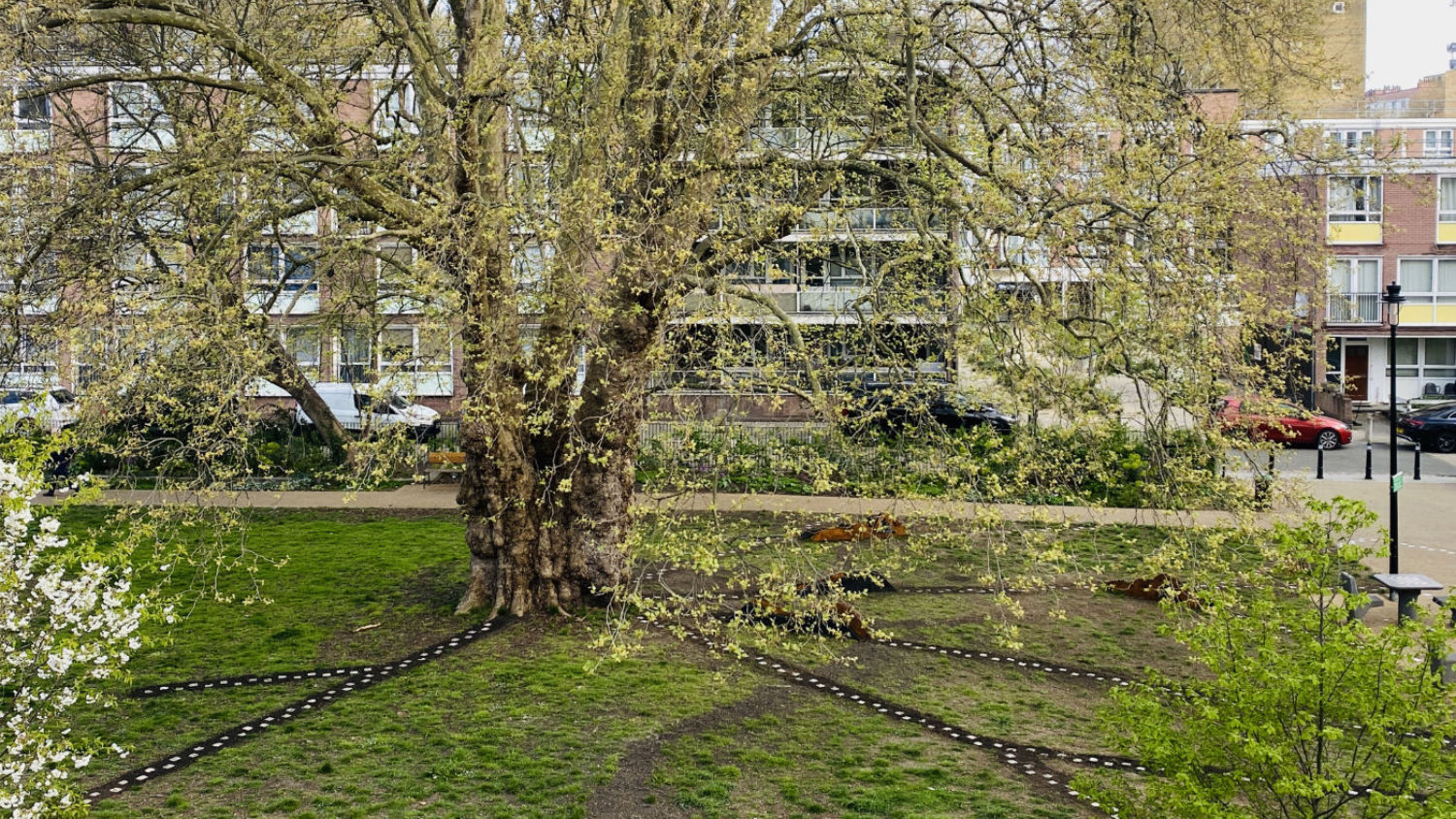 Photo of T(h)ree by HAQUE TAN